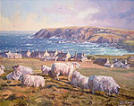 “Sheep Grazing Overlooking Port of Ness”, by Ivor MacKay