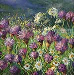 “Wild Flowers, Garry”, by Ivor MacKay